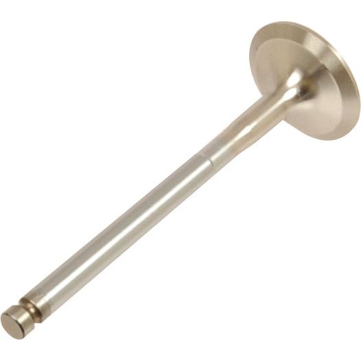 Exhaust Valve Standard
- S.111776 - Farming Parts