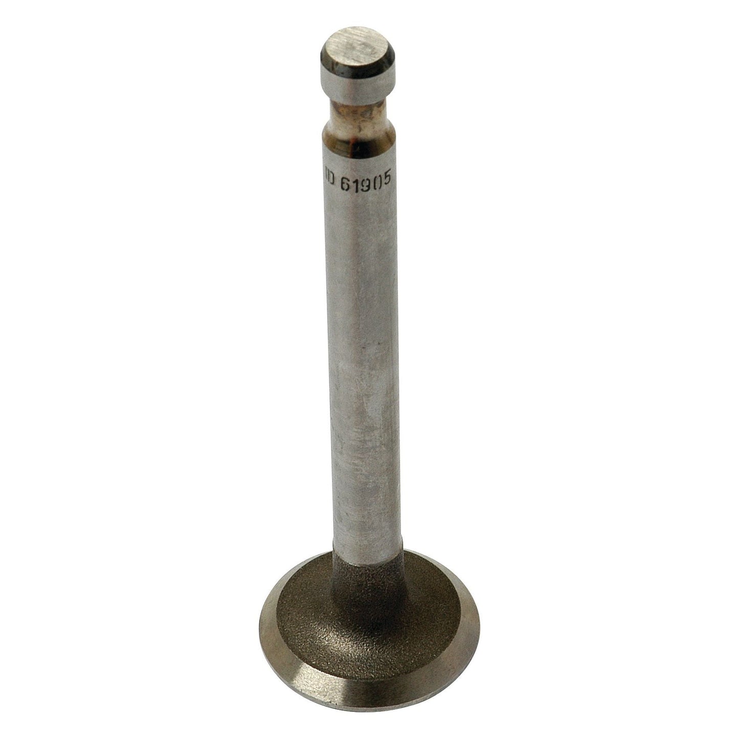 Close-up image of a Sparex Exhaust Valve Standard (Part No. S.61905) with a cylindrical stem and disc-shaped head, isolated on a white background, commonly used in Landini and Massey Ferguson machinery.