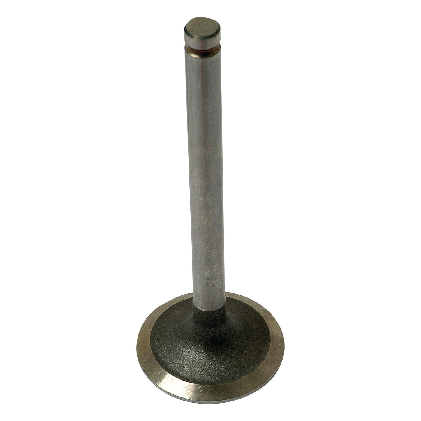 Sparex Inlet Valve (Part No. S.42439), a metallic component designed for Massey Ferguson or Landini engines, is depicted standing upright with a circular base and a cylindrical stem.