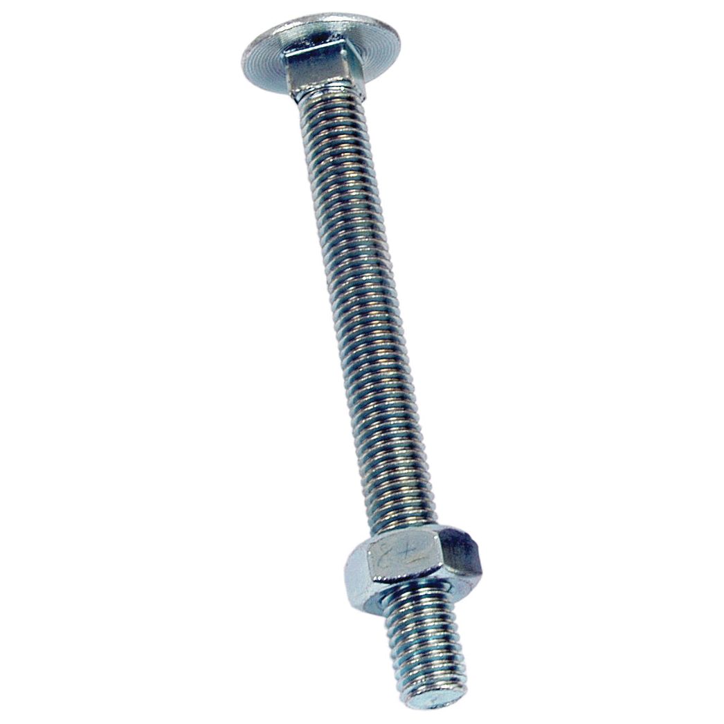 A Metric Carriage Bolt and Nut, M10x100mm (DIN 601/934) from Sparex (Sparex Part No.S.8278), isolated on a white background.