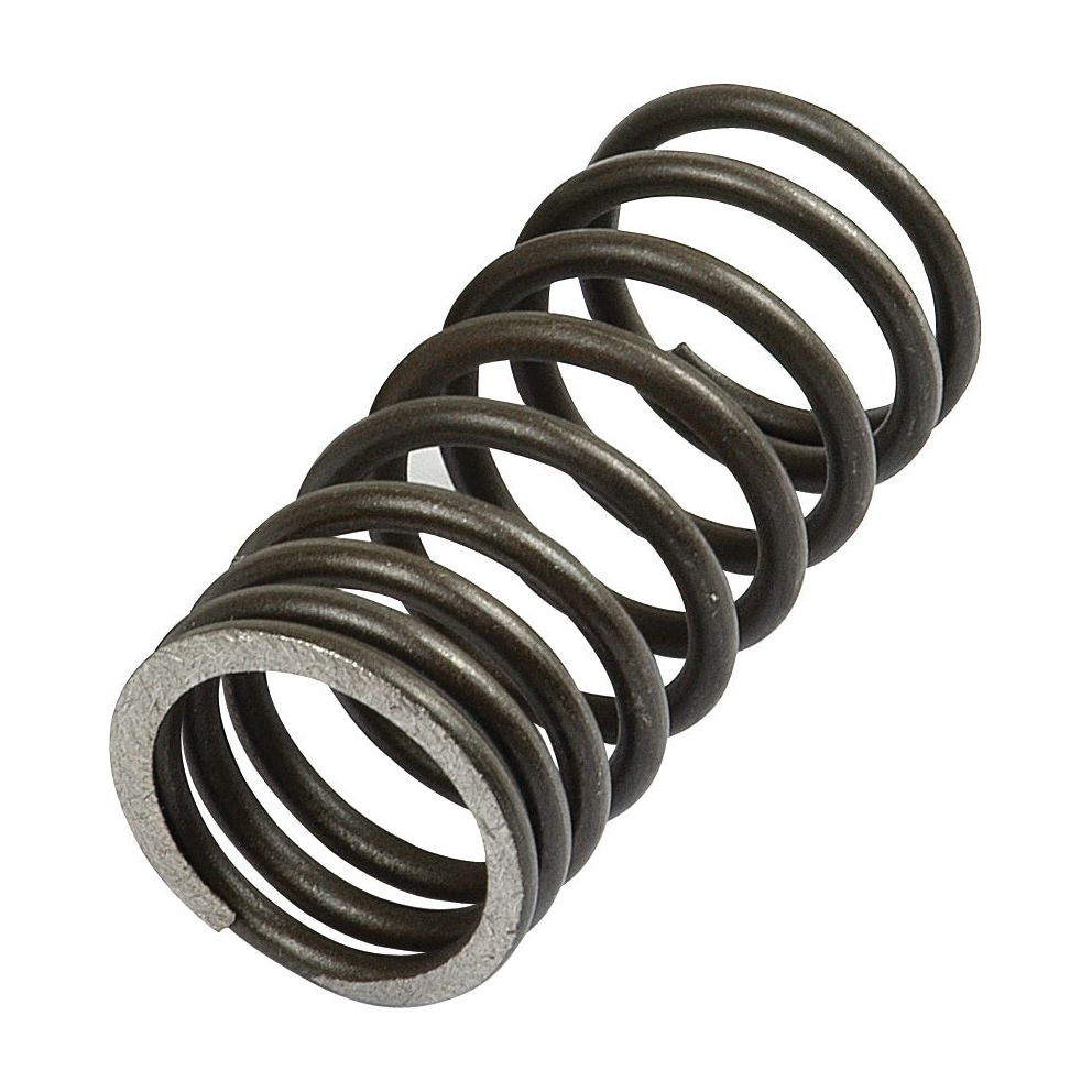 A close-up view of a coiled metal Valve Spring - Inner (Sparex Part No. S.40501), commonly found in Perkins and Landini engines, isolated on a white background.