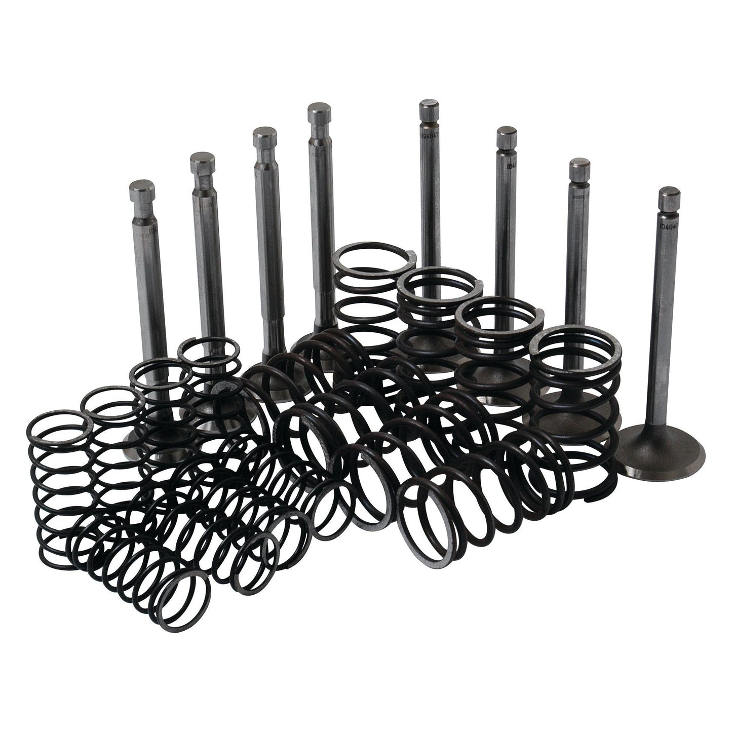 The Valve Train Kit - S.41946 by Sparex, featuring assorted intake valves, exhaust valves, and valve springs, is arranged in rows on a white background.