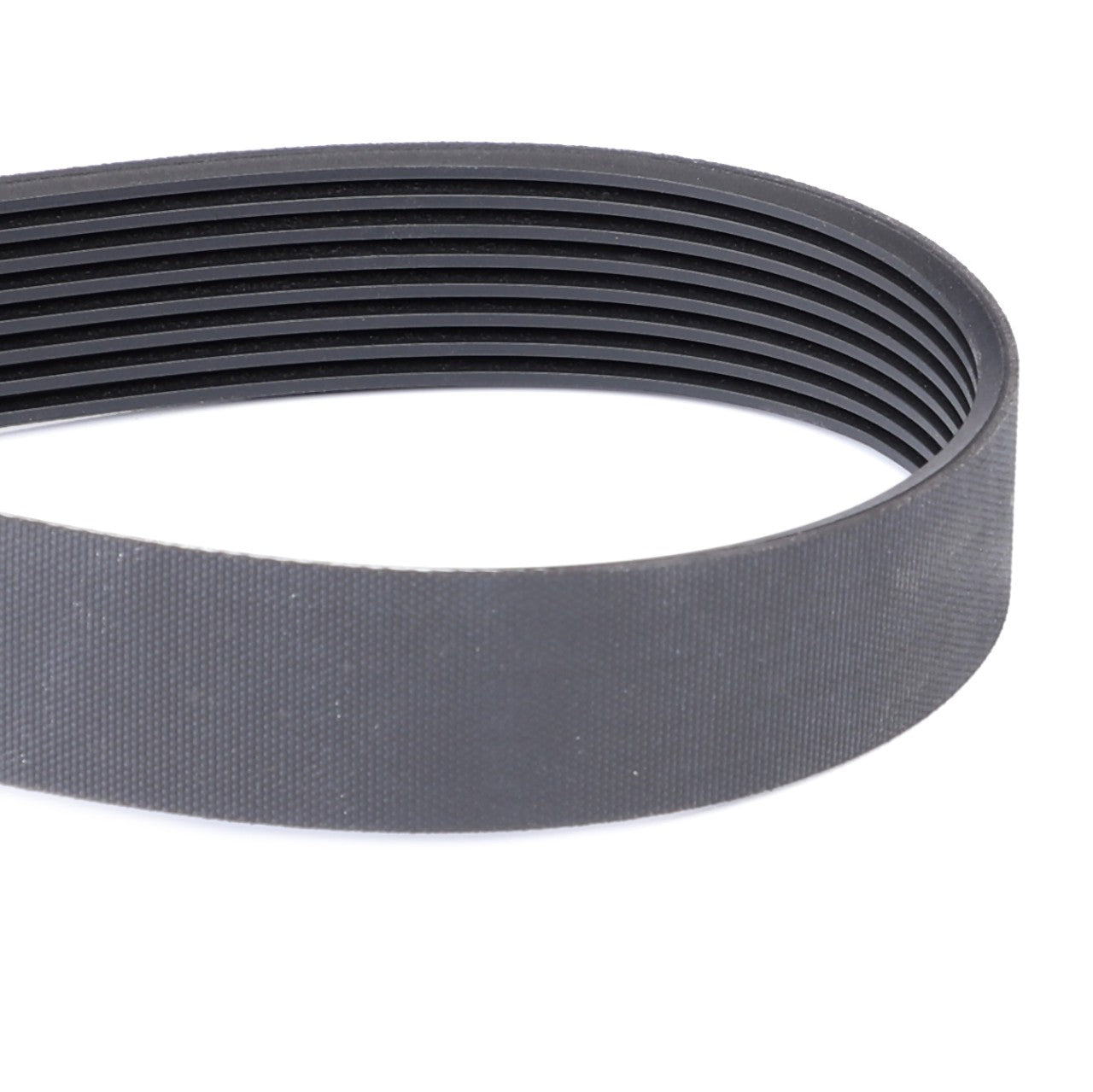 AGCO | Serpentine Belt, Pk8 Profile - 4296120M1 - Farming Parts