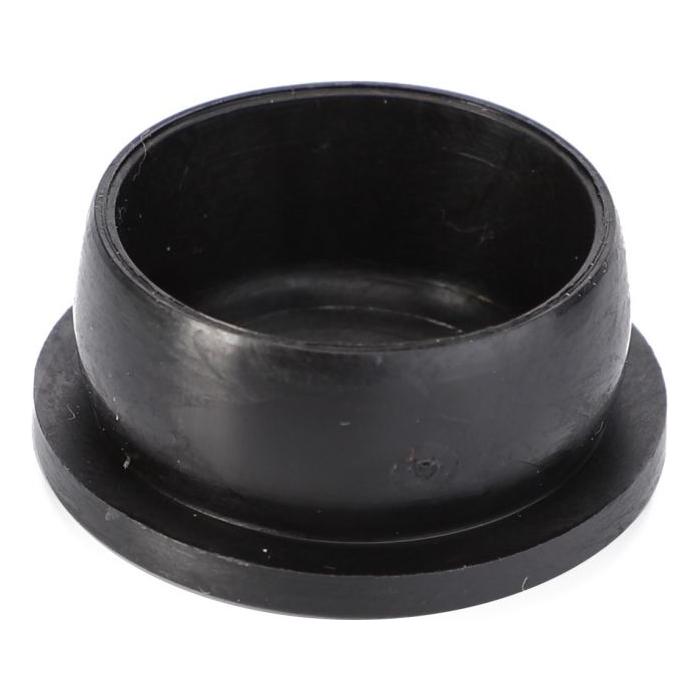Caps Blanking Plugs