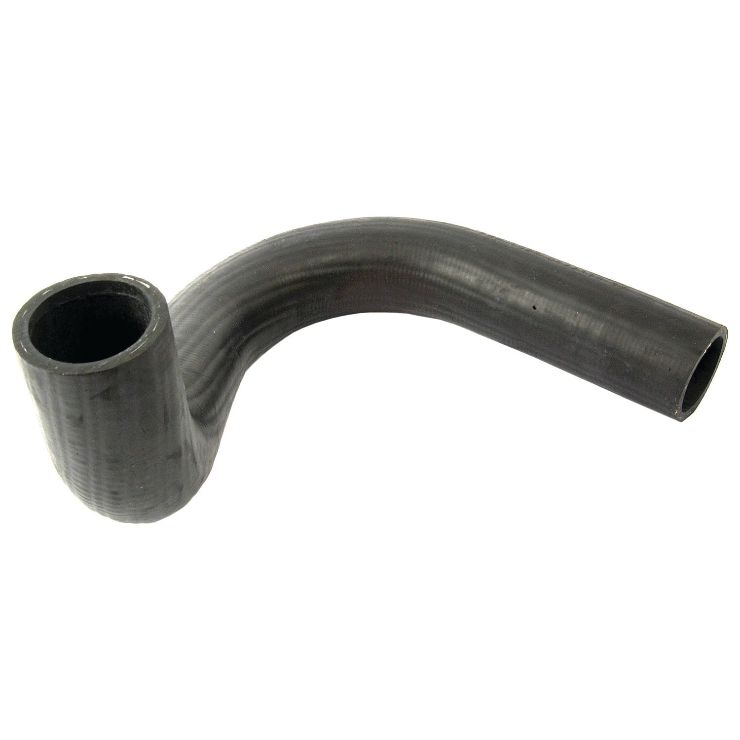 Bottom