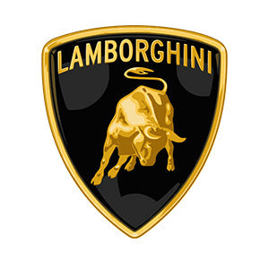 Lamborghini - Parts & Spares