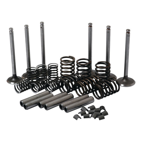 Engine Valves & Components