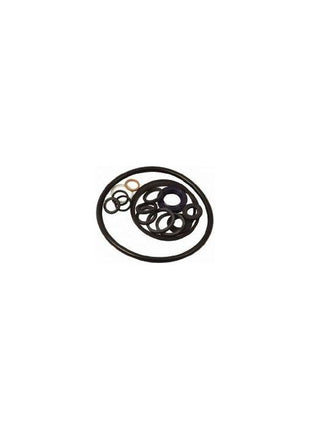 Massey Ferguson - Power Steering Pump Seal Kit - 1635948M92 - Farming Parts