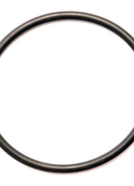 A black Sparex O Ring 1/8'' x -'' (BS835) 70 Shore, Part No. S.10395, lies against a white background.