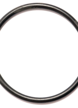 A Sparex black O-Ring, made of Nitrile Rubber with a circular shape, is shown on a white background. This product is the O Ring 3/16'' x -'' (BS620) 70 Shore with Part No. S.10436.