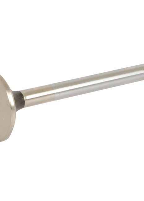 A metallic exhaust valve with a flat, circular head and a long, cylindrical stem featuring grooved rings near the end, compatible with Massey Ferguson engines, is available as the Exhaust Valve Standard (Sparex Part No.S.107277) from Sparex.