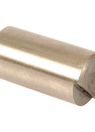 A Sparex Main Shaft (Sparex Part No. S.107338), featuring a cylindrical metal dowel pin with a slotted end, displayed on a white background, ideal for use with Massey Ferguson and AGCO machinery.