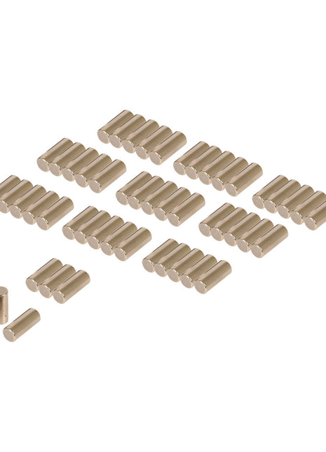 Several rows of identical small metallic cylindrical objects, arranged neatly with two extras placed separately on the left side—resembling precision Sparex Needle Bearing (50 pcs.) | Sparex Part No.S.107341 from the brand Sparex.