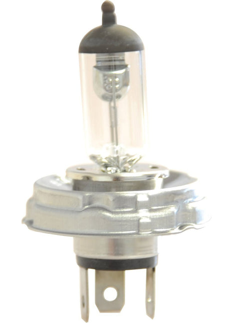 Halogen Head Light Bulb, 12V, 55W, P45t Base
 - S.109981 - Massey Tractor Parts