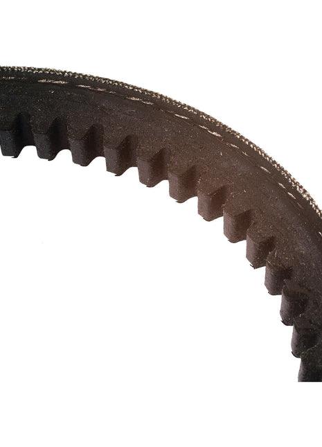 Close-up of a Sparex industrial drive belt, specifically Drive Belts - AV13 Section - Belt No. AV13x1268 (Sparex Part No.S.11170), showing its gritty surface and evenly spaced teeth designed to engage with gears or pulleys in mechanical systems.