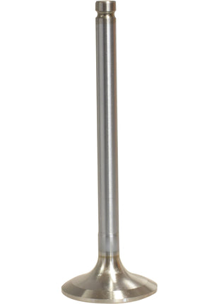 A Sparex Exhaust Valve Standard (Part No.S.111777) featuring a long stem and a flat, circular head, compatible with Landini tractors, isolated on a white background.
