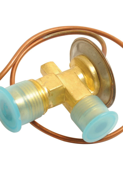 A Sparex Flare Type Expansion Valve (Part No. S.111981) is a brass refrigeration valve featuring two capped ports and a coiled copper tube.