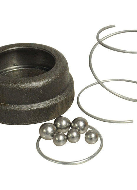 A set of mechanical components including a cylindrical metal part, a spring, and several metal balls on a ring with an Autolok mechanism from the Sparex Autolok QR Repair Kit 1 3/8 - S.118942.