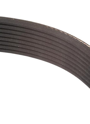 Close-up view of a black multi-ribbed belt, like the Sparex Poly V / Multi-Rib Belt - PK Section (Belt No. 4PK980, Sparex Part Number: S.149099), typically used in automotive engines for driving various components such as the alternator or power steering pump.