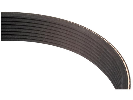 Close-up view of a black multi-ribbed belt, like the Sparex Poly V / Multi-Rib Belt - PK Section (Belt No. 4PK980, Sparex Part Number: S.149099), typically used in automotive engines for driving various components such as the alternator or power steering pump.