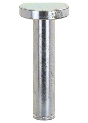 A Lower Link Pin 22x Cat. 1, Sparex Part Number: S.150029, viewed against a white background, showcasing its precise construction and overall length.