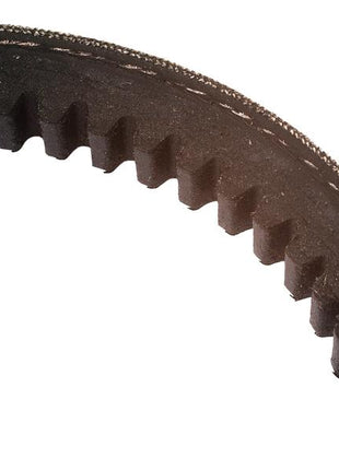 Close-up view of a black, circular Raw Edge Moulded Cogged Belt from Sparex, labeled AVX13X1385, with visible wear along the edges. This belt is part of the AVX Section Belt Kit (Set of 2), Sparex Part Number: S.155500.