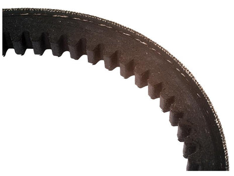 Close-up view of a black, circular Raw Edge Moulded Cogged Belt from Sparex, labeled AVX13X1385, with visible wear along the edges. This belt is part of the AVX Section Belt Kit (Set of 2), Sparex Part Number: S.155500.