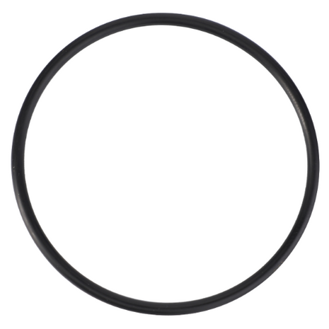 A black circular rubber O-ring, specifically the Massey Ferguson - O Ring - 1610254M1 from AGCO, possibly used in tractor parts like those of the Massey Ferguson 2600 Series, lies against a white background.