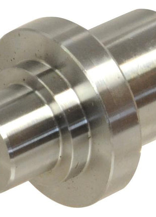 A cylindrical metal mechanical component, known as the King Pin (Sparex Part Number: S.161181) by the brand Sparex, features a threaded hole and is stepped down to smaller diameters, often specified in metric measurements.