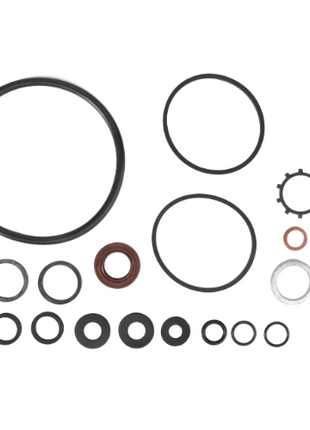 Massey Ferguson - Power Steering Pump Seal Kit - 1635948M92 - Farming Parts