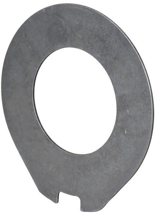 Intermediate Brake Disc, OD: 171mm. | Sparex Part Number: S.169046