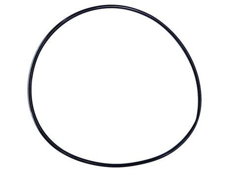 A single black rubber O-ring with an inner diameter and thickness, isolated on a white background. Ideal for Sparex applications, this is the Brake O Ring Kit (Sparex Part Number: S.169049) from Sparex.