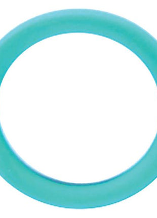 A teal rubber O-ring from the Brake O Ring Kit (Sparex Part Number: S.169053), with a smooth surface, measuring an inner diameter of 19mm and a thickness of 3mm, is viewed against a white background.