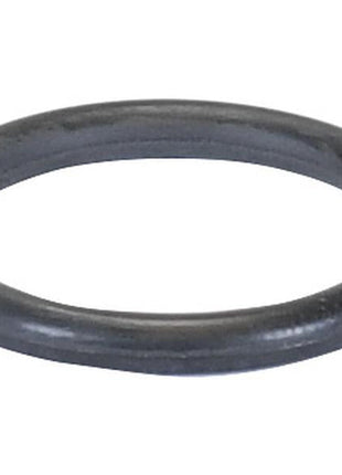 A black rubber O-ring from the Brake O Ring Kit, Sparex Part Number S.169055, with an inner diameter of 22.5 mm and a thickness of 3 mm lies against a white background.