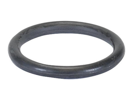 A black rubber O-ring from the Brake O Ring Kit, Sparex Part Number S.169055, with an inner diameter of 22.5 mm and a thickness of 3 mm lies against a white background.