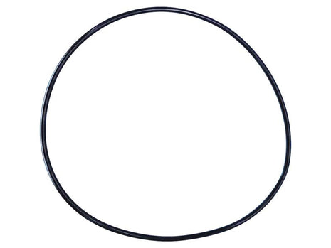 A circular black rubber band from the Sparex Brake O Ring Kit (Part Number: S.169059), with an inner diameter of 304 mm and a thickness of 5.3 mm, placed against a white background.