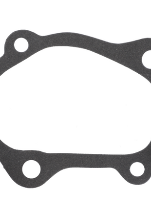 Massey Ferguson - Gasket Side Plate - 1850041M1 - Farming Parts