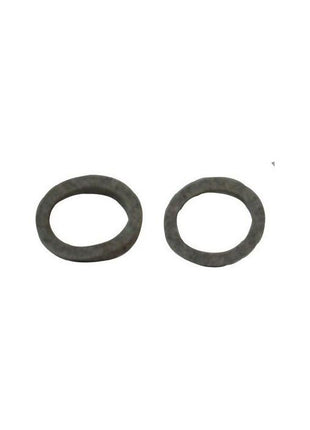 Massey Ferguson - Felt Washer - 196079M1 - Farming Parts