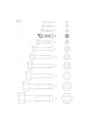 Massey Ferguson - Bolt M8 x 25 - 339761X1 - Farming Parts