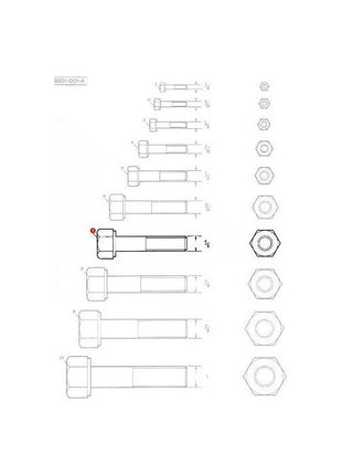 Massey Ferguson - Bolt 5/8x2.3/8 unc - 354286X1 - Farming Parts