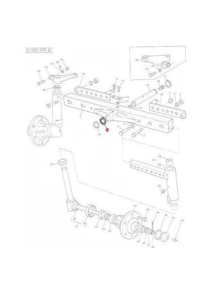 Massey Ferguson - Shim Pivot Pin - 1661600M1 - Farming Parts