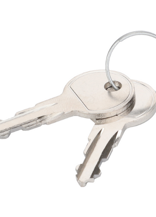 Two keys with a standard cut pattern, often used in Massey Ferguson tractor parts, are attached to a keyring. The keys are overlapping each other and are part of the AGCO brand's Massey Ferguson - Door Key - 3477138M1 set.