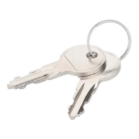 Two keys with a standard cut pattern, often used in Massey Ferguson tractor parts, are attached to a keyring. The keys are overlapping each other and are part of the AGCO brand's Massey Ferguson - Door Key - 3477138M1 set.