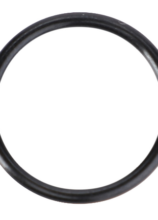 Massey Ferguson - O ring - 364105X1 - Farming Parts