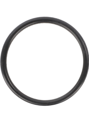 Massey Ferguson - O Ring - 365470X1 - Farming Parts