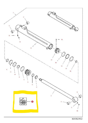 Exploded view diagram of a mechanical assembly with labeled parts, including a cylindrical component and various smaller components. A highlighted section in the bottom left corner features an additional diagram of the AGCO Seal Kit - 3973981M1 for reference.