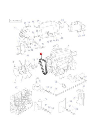 Massey Ferguson - Fan Belt - 3619356M91 - Farming Parts