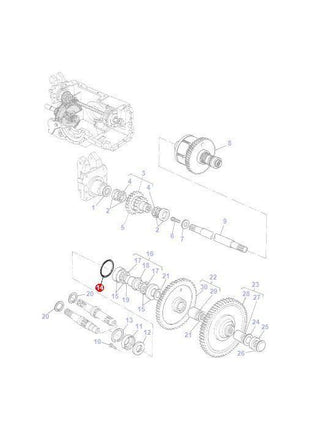 Massey Ferguson - O Ring - 359107X1 - Farming Parts