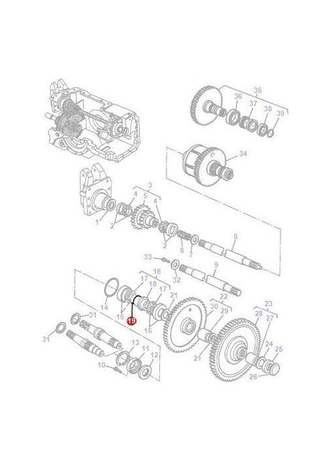 Massey Ferguson - O Ring - 1610254M1 - Farming Parts