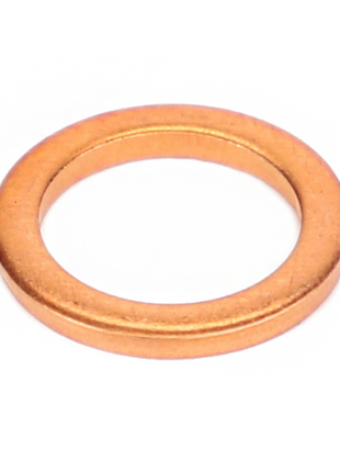 Massey Ferguson - Sealing Washer - 4224718M1 - Farming Parts